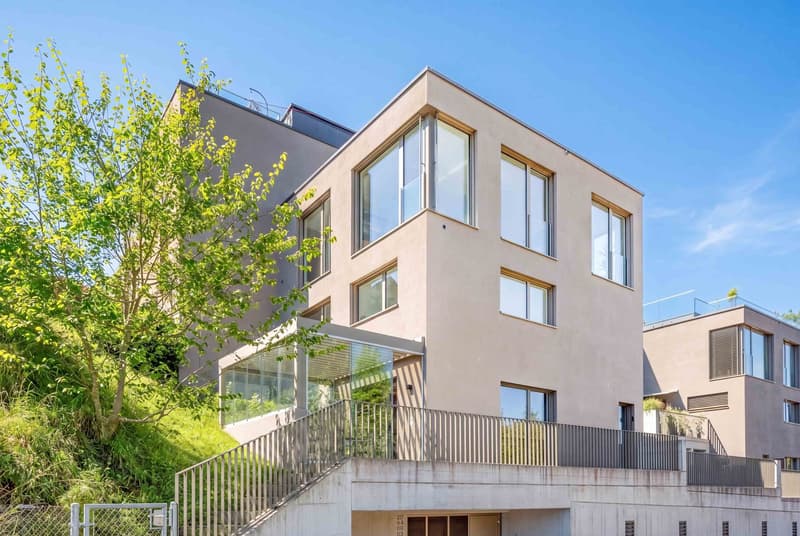 Modern living with a view (3)