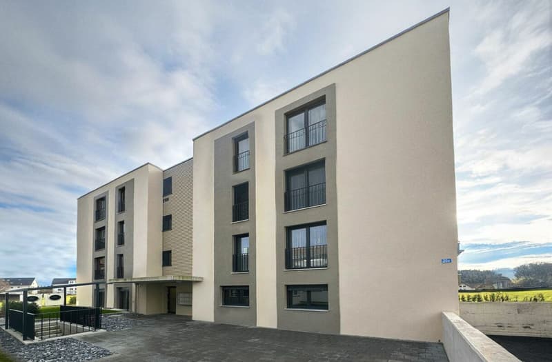 Appartement maisonnette 5.5 pièces avec vue panoramique (3)