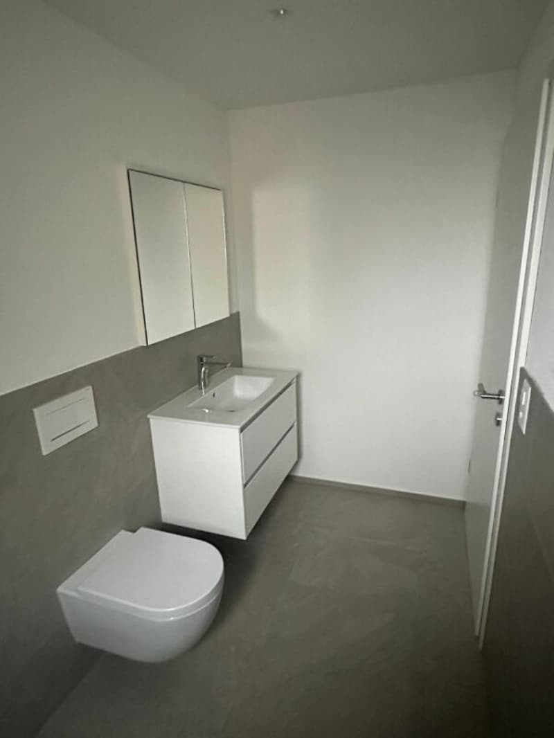 2.5 room apartment on the 1st floor with large balcony (3)