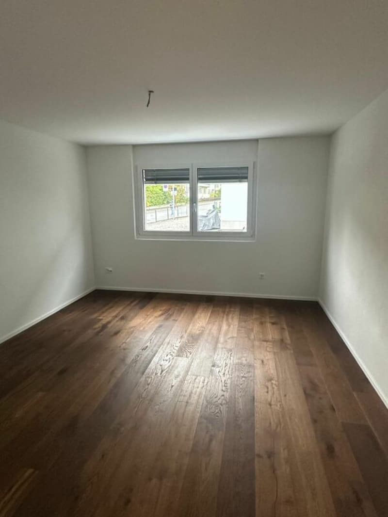 2.5 room apartment on the 1st floor with large balcony (5)