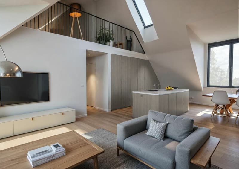 Exclusive 4.5 room loft apartment (3)