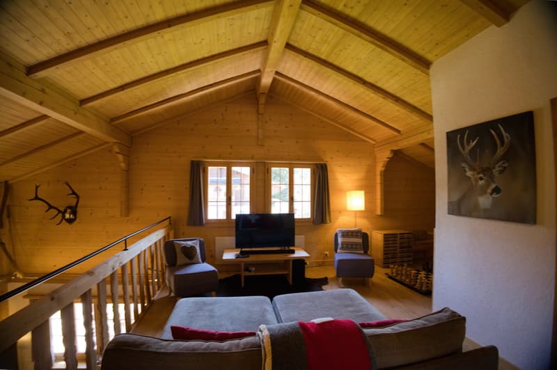 Magnificent furnished chalet between Gstaad and Lauenen (5)
