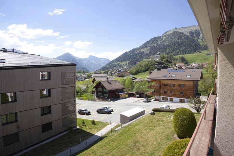 Charming 3-room apartment with balcony and open view in Château-d'Oex (8)