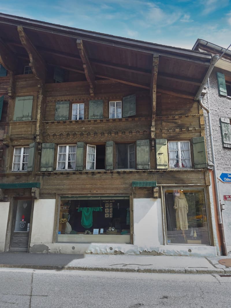 Village house with garden, outbuilding and commercial space (3)