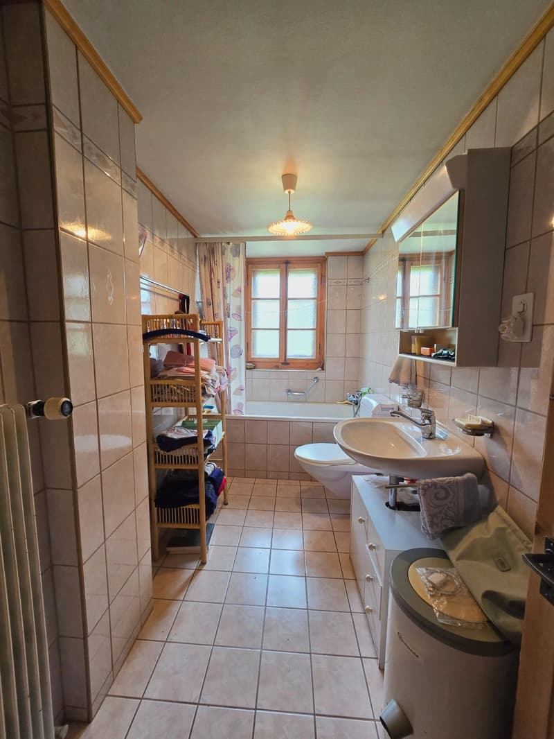 Village house with garden, outbuilding and commercial space (4)
