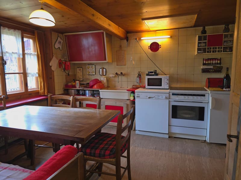 Village house with garden, outbuilding and commercial space (2)