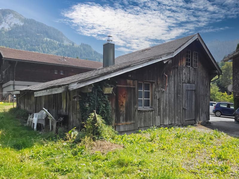 Village house with garden, outbuilding and commercial space (5)