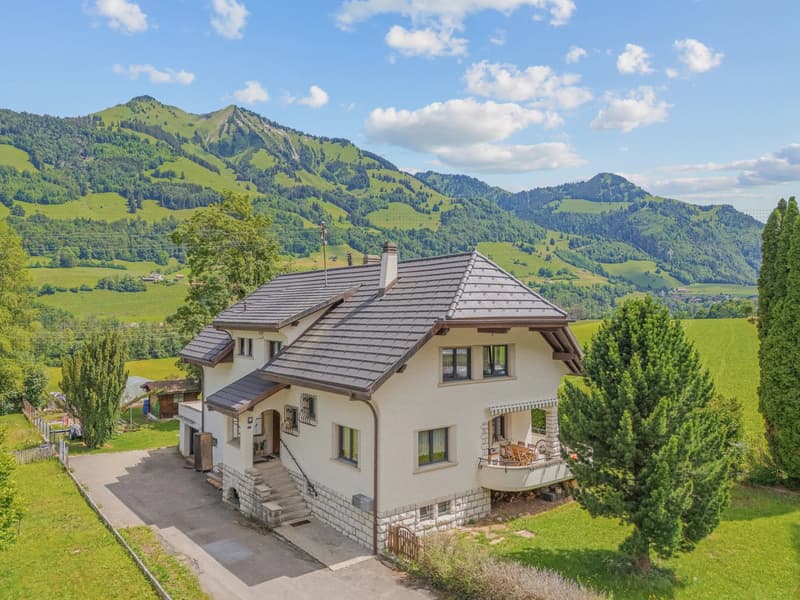 House with 2 apartments (2)