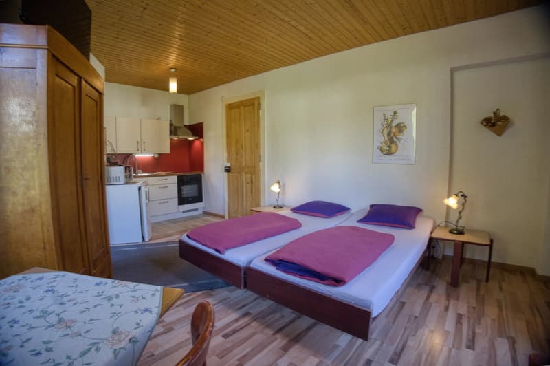 Old Character Hotel with Buildable Land ? Great Potential for Enhancement (9)