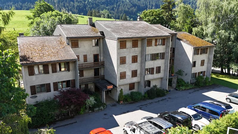 Appartement ensoleillé de 4,5 pièces dans un quartier calme (13)