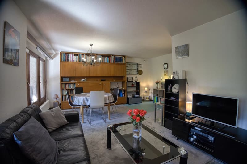Appartement ensoleillé de 4,5 pièces dans un quartier calme (4)