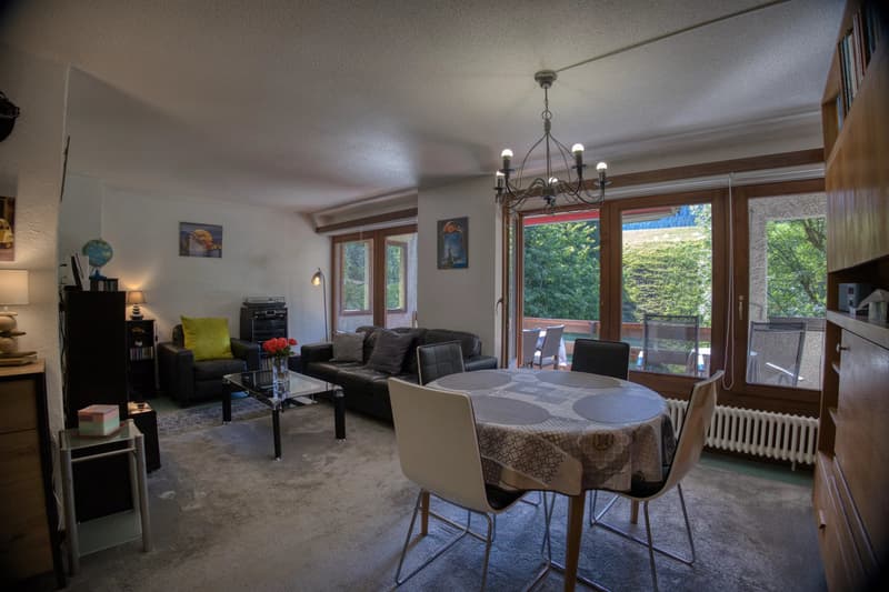 Appartement ensoleillé de 4,5 pièces dans un quartier calme (2)