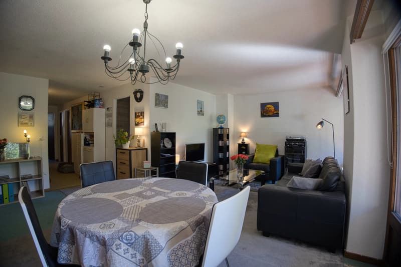 Appartement ensoleillé de 4,5 pièces dans un quartier calme (3)
