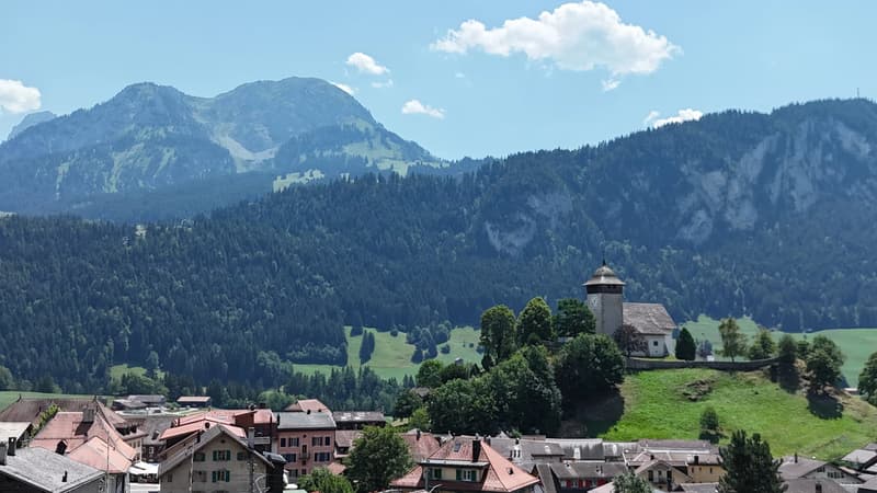 Un accogliente 3 locali sotto il tetto nel cuore di Château-d'Oex (10)