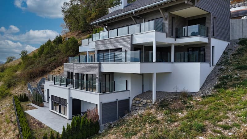 Luxury 3.5-room apartment with panoramic terrace (2)