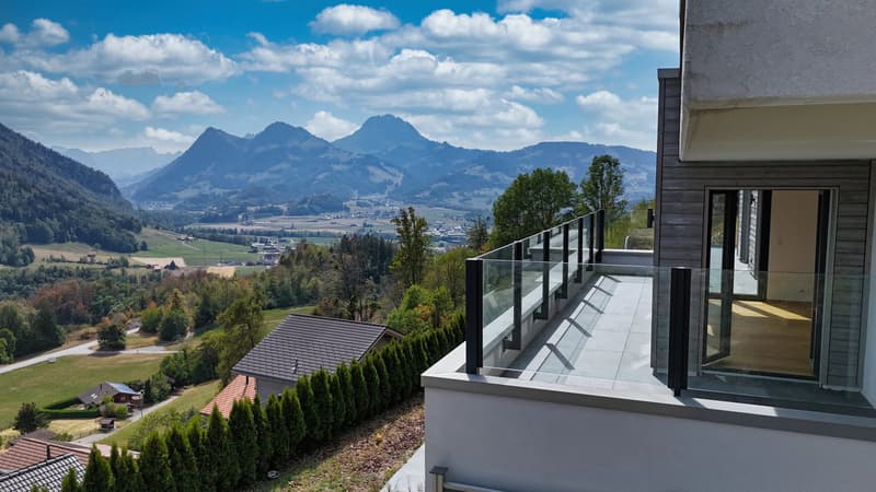 Luxury 3.5-room apartment with panoramic terrace (1)