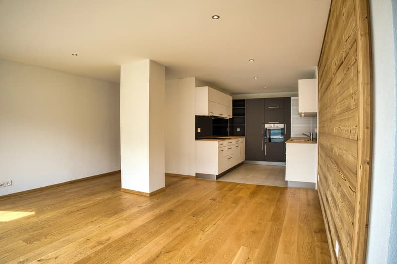 Luxury 3.5-room apartment with panoramic terrace (4)