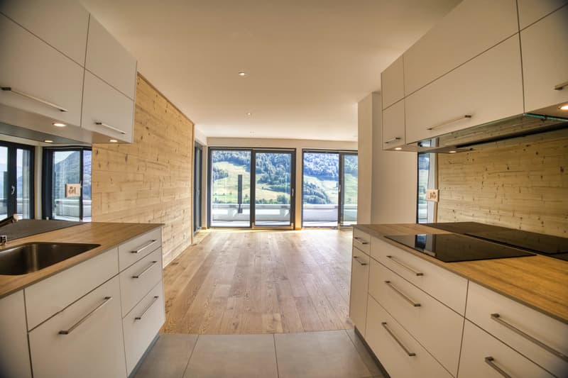 Luxury 3.5-room apartment with panoramic terrace (12)