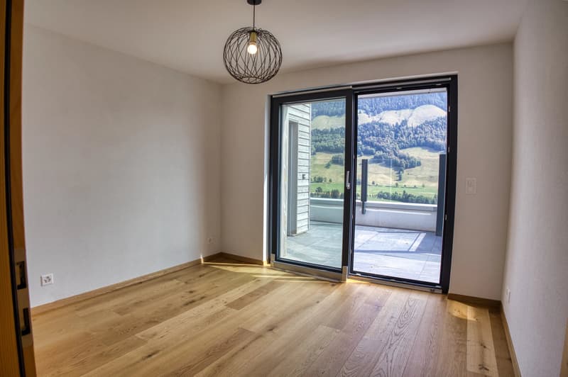 Luxury 3.5-room apartment with panoramic terrace (8)
