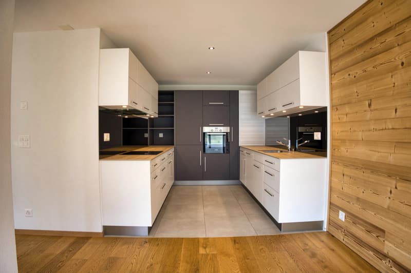 Luxury 3.5-room apartment with panoramic terrace (7)
