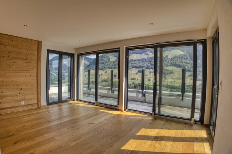 Luxury 3.5-room apartment with panoramic terrace (6)