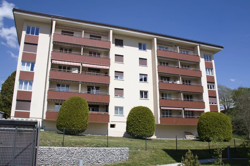 Charmant 3 pièces lumineux avec balcon et vue dégagée ? Château-d'Oex (11)