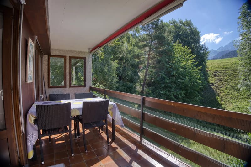 Sunny 4.5-room flat close to local amenities (12)
