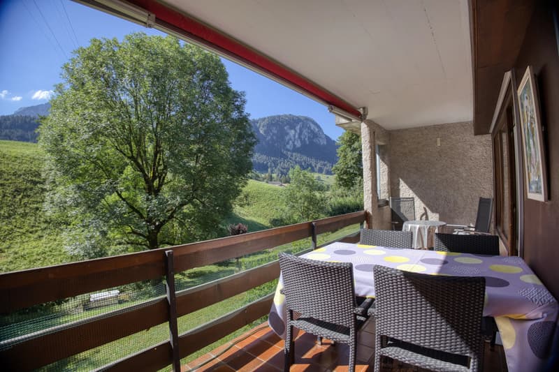 Sunny 4.5-room flat close to local amenities (1)