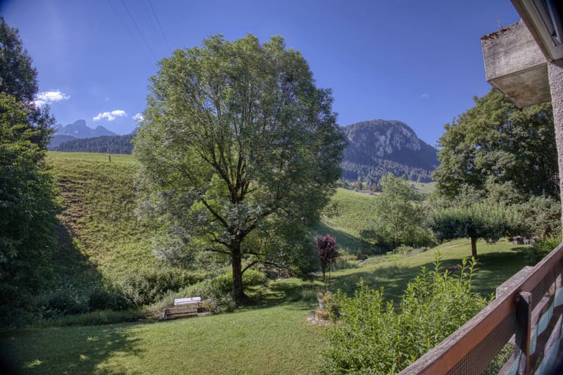 Sunny 4.5-room flat close to local amenities (13)