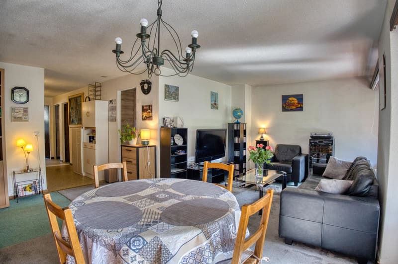 Sunny 4.5-room flat close to local amenities (2)