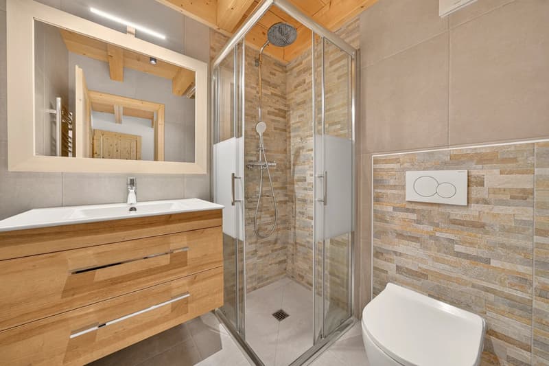 Luxury duplex (13)