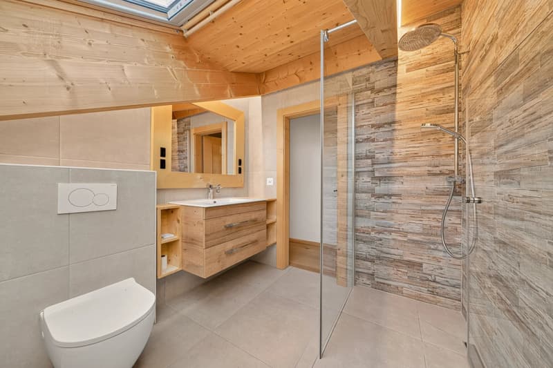 Luxury duplex (7)