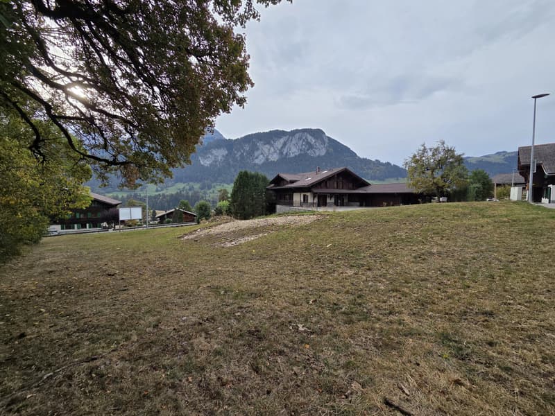 Building plot in Château-d'Oex (2)