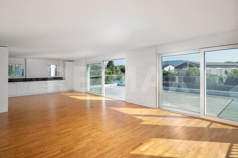 Luxury apartment in Zurzach: Your new home (8)