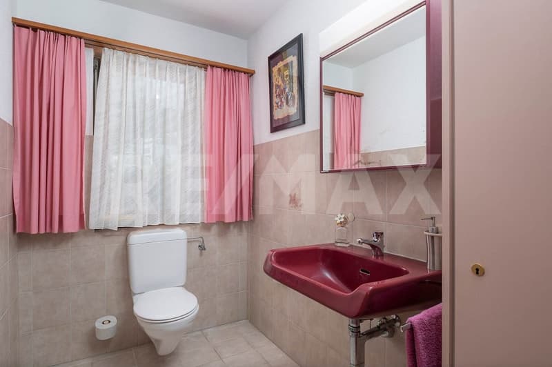 Unique single-family house with separate apartment (7)