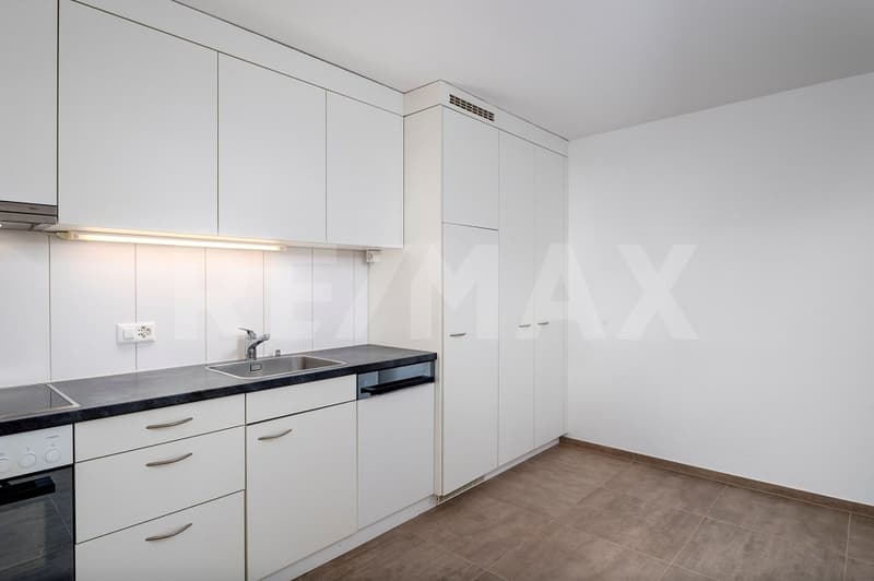 Your 4.5 room dream apartment, discover in the idyllic Turgi (3)