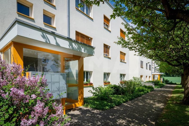 Votre maison de rêve à Rütihof, Baden vous attend ! (1)