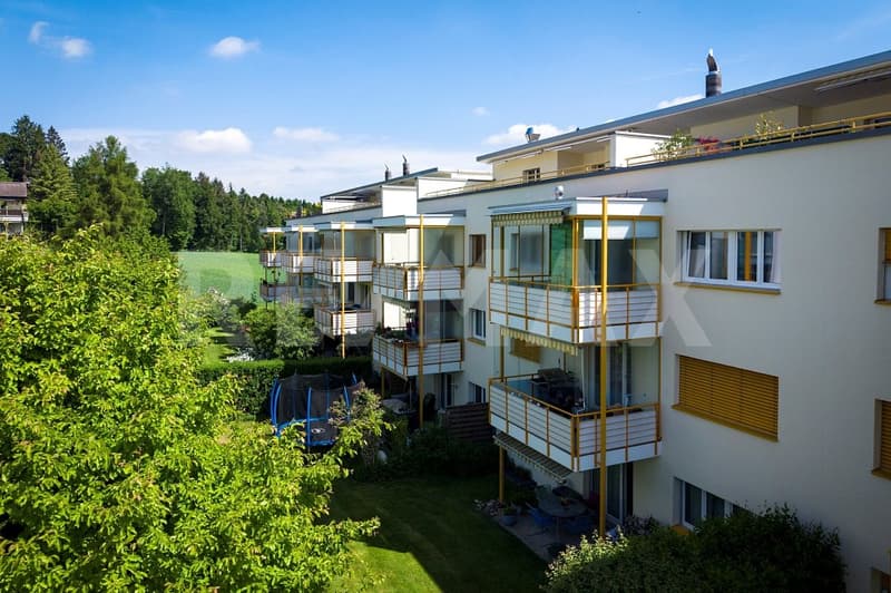 Votre maison de rêve à Rütihof, Baden vous attend ! (10)
