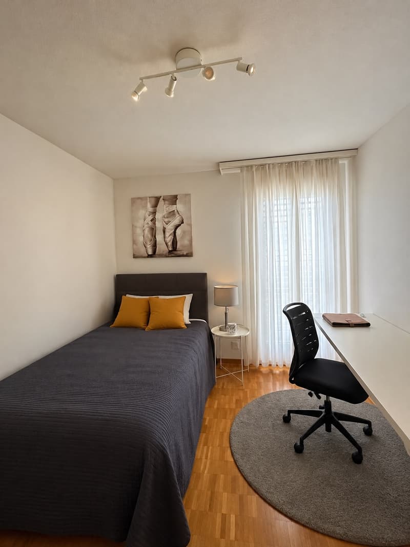 Charmante 4.5-Zimmer-Maisonette-Wohnung in Baden (5)