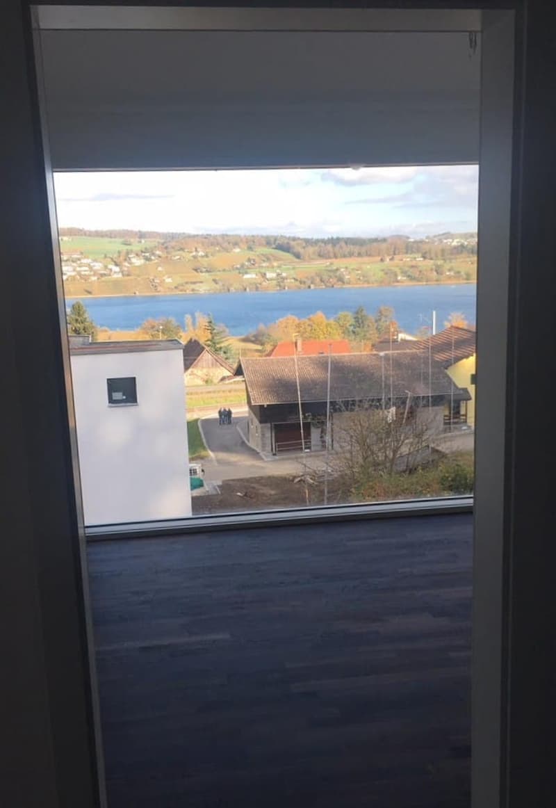 5.5-room single-family house with lake view and roof terrace in Boniswil for sale (7)