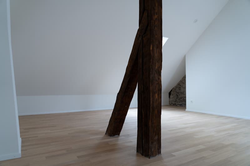 Charmante 4.5-Zimmer Attika im Herzen von Bremgarten (13)