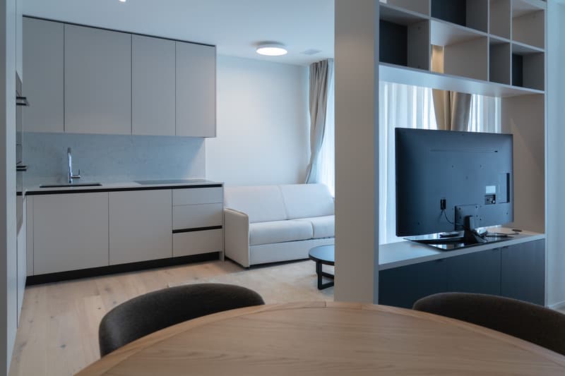 1.5-Zi.-Wohnung möbliert mit Balkon - urban wohnen in Killwangen (8)