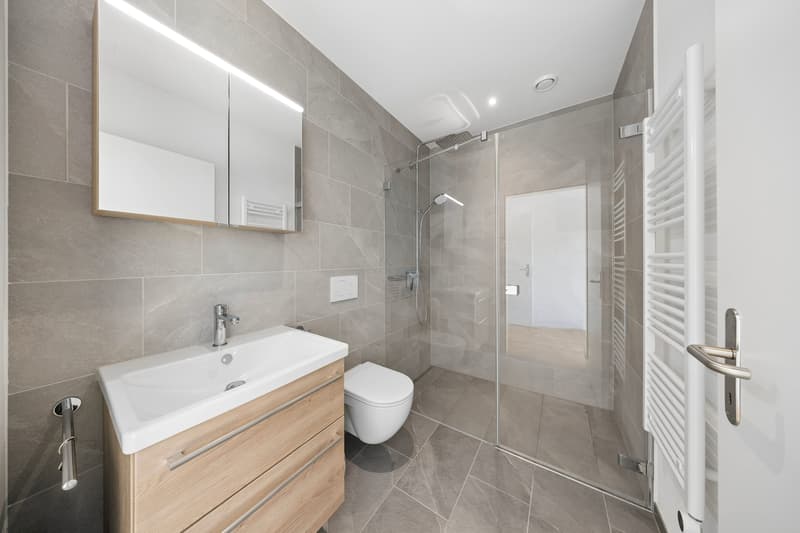 Helle 4.5-Zimmerwohnung mit zwei Loggien in Romanshorn kaufen (8)