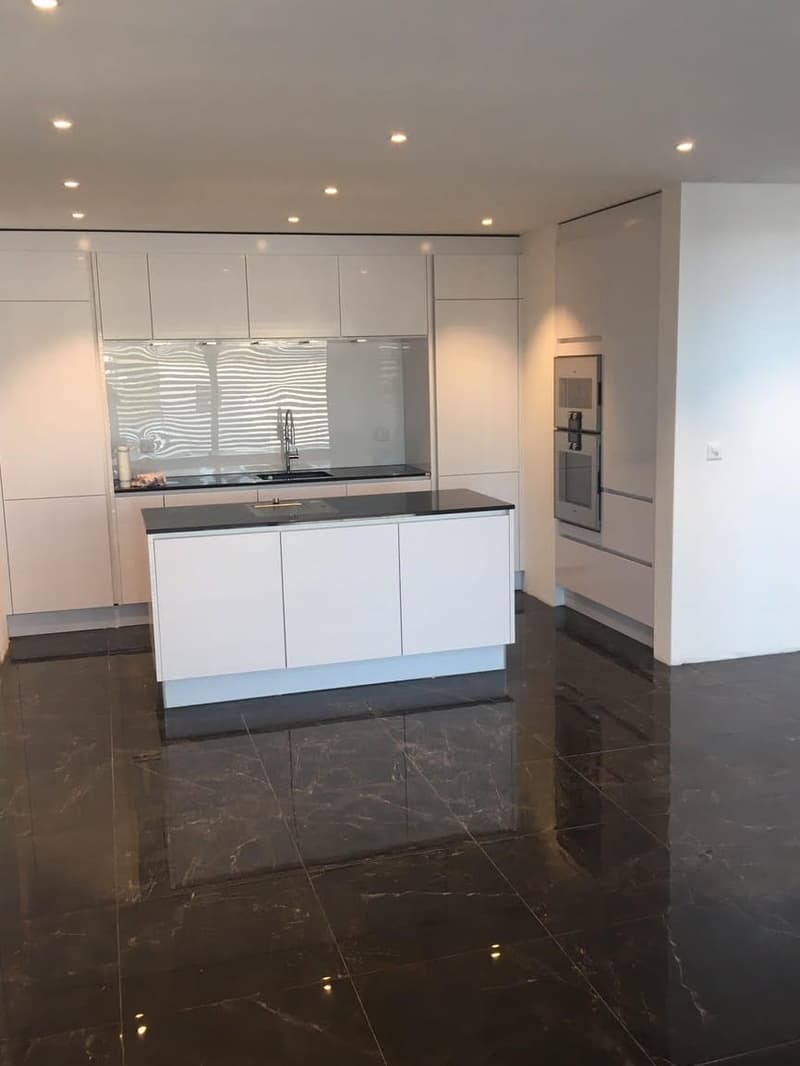 5.5-Zimmer EFH mit Seesicht und Dachterrasse in Boniswil kaufen (4)