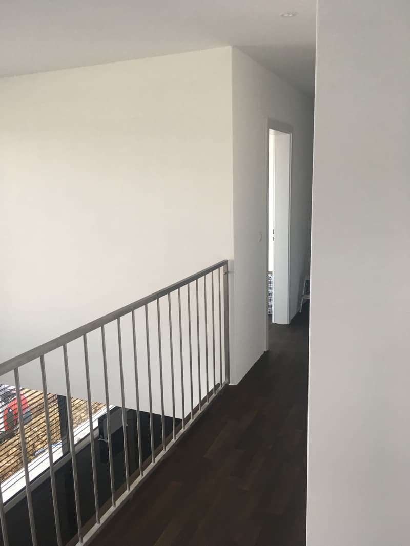 5.5-Zimmer EFH mit Seesicht und Dachterrasse in Boniswil kaufen (8)