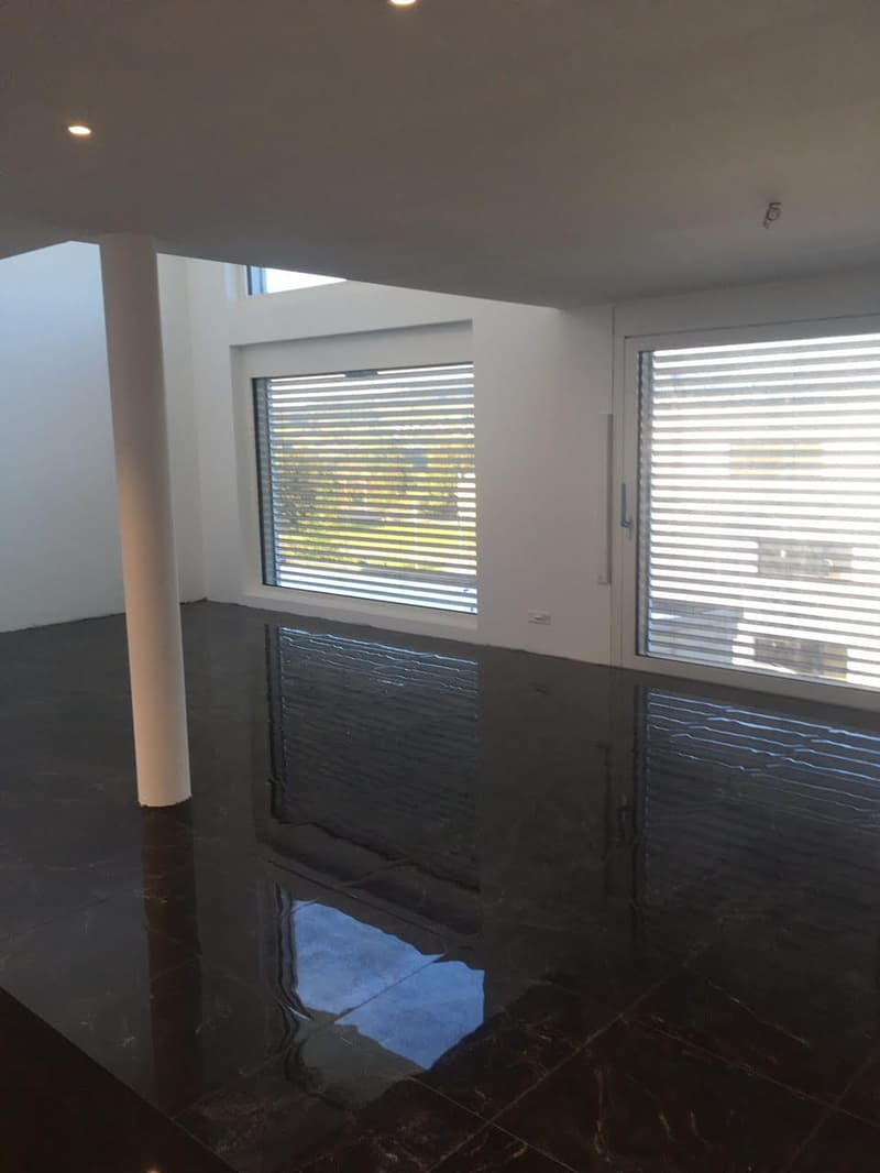 5.5-Zimmer EFH mit Seesicht und Dachterrasse in Boniswil kaufen (5)
