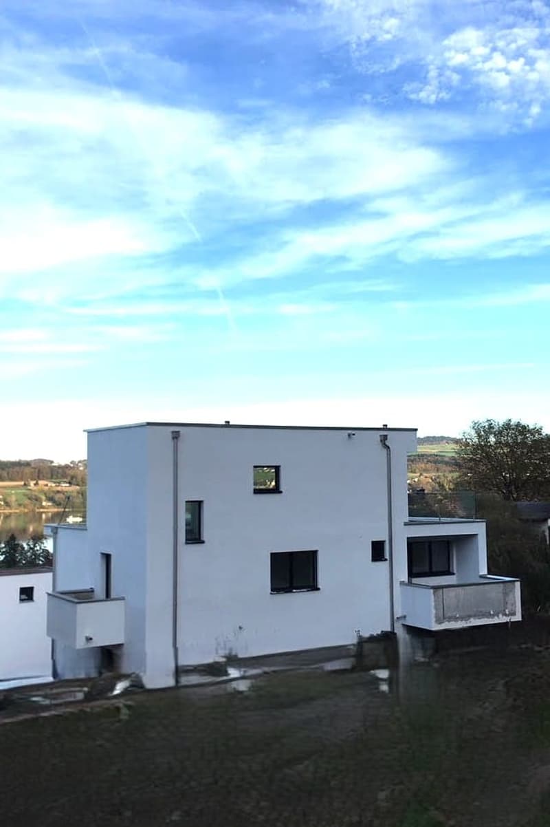 5.5-Zimmer EFH mit Seesicht und Dachterrasse in Boniswil kaufen (2)