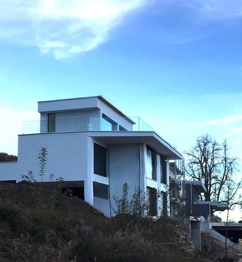5.5-Zimmer EFH mit Seesicht und Dachterrasse in Boniswil kaufen (3)
