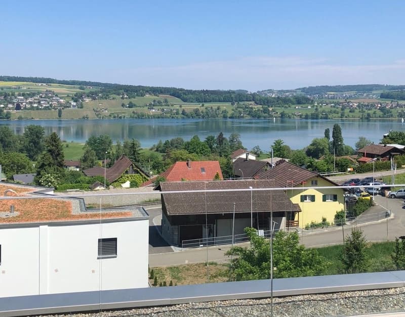 5.5-Zimmer EFH mit Seesicht und Dachterrasse in Boniswil kaufen (1)