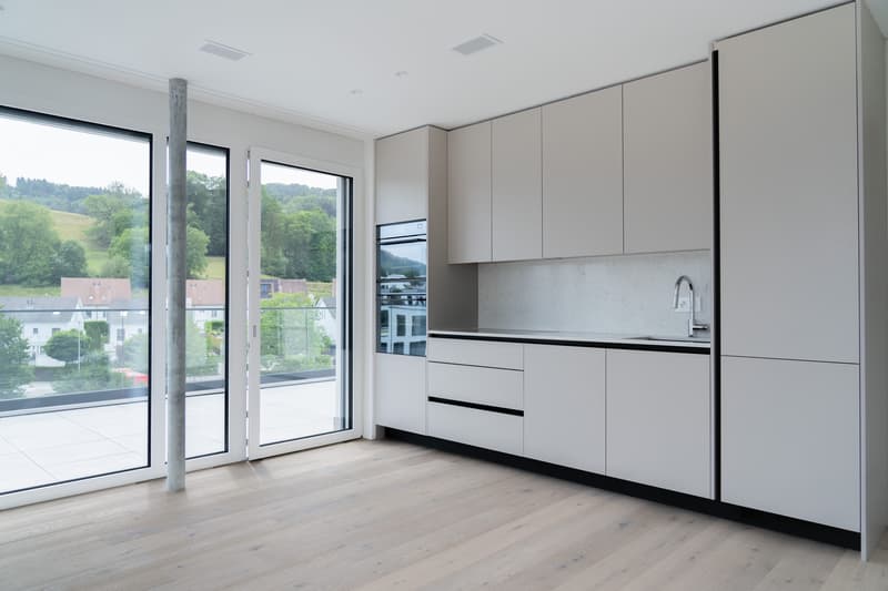 2.5 pièces en attique avec terrasse de 78.5 m² - vie urbaine, Killwangen (12)